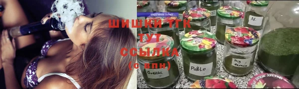 стаф Абинск