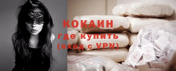 стаф Абинск