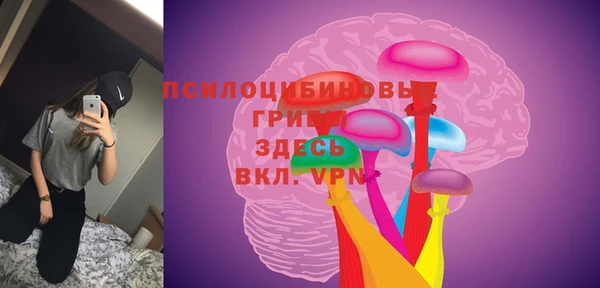 стаф Абинск