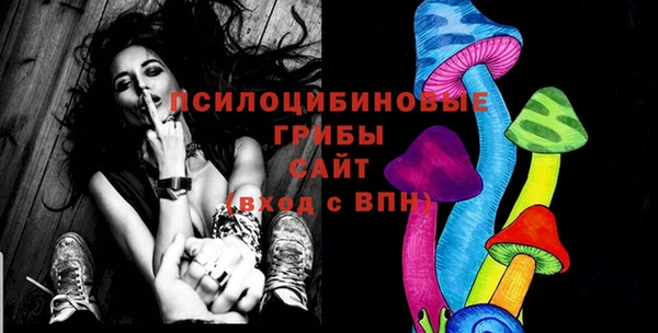 стаф Абинск
