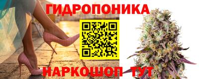 хмурый Шебекино
