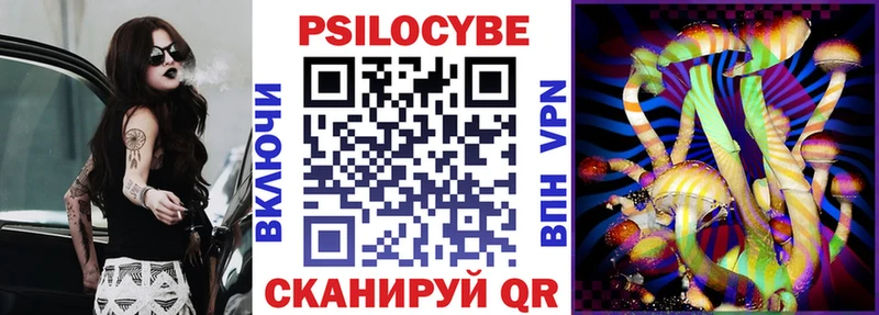 закладки  Карасук  Псилоцибиновые грибы Psilocybe 