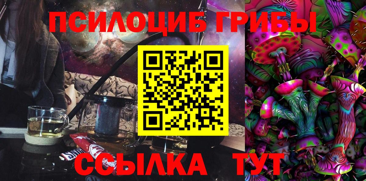 купить   Вход с VPN  Карасук  Галлюциногенные грибы Psilocybe 